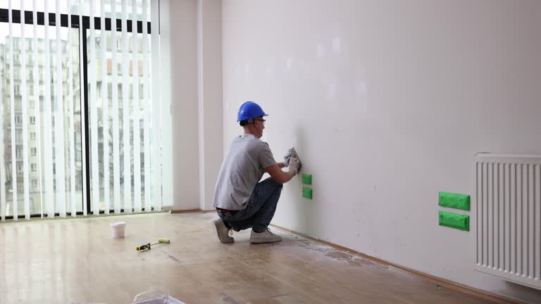 Best Mold Remediation for Healthcare Facilities  in Litchfield, MN