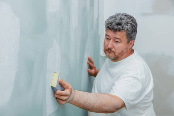 Best Emergency Mold Remediation  in Litchfield, MN